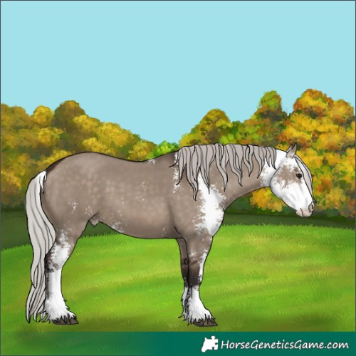 Horse Color:Silver Brown Dun Sabino 