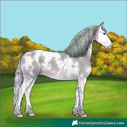 Horse Color:Watercolor White Spotted Silver Brown Dun Splash 