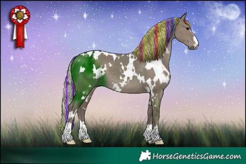 Horse Color:Painted White Spotted Silver Grullo 