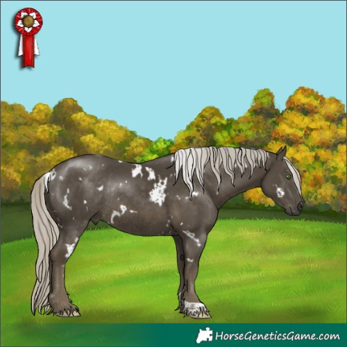 Horse Color:White Spotted Silver Smoky Black Rabicano