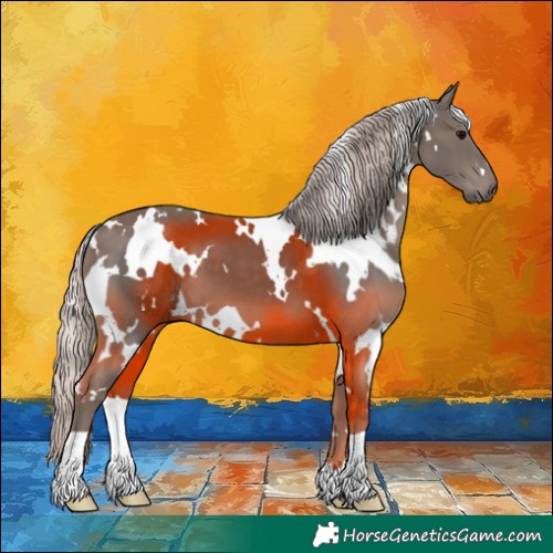 Horse Color:White Spotted Silver Black 