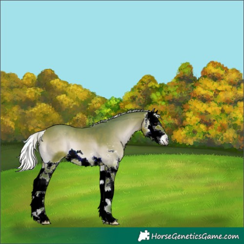 Horse Color:Watercolor Silver Bay Onyx Sabino Splash 