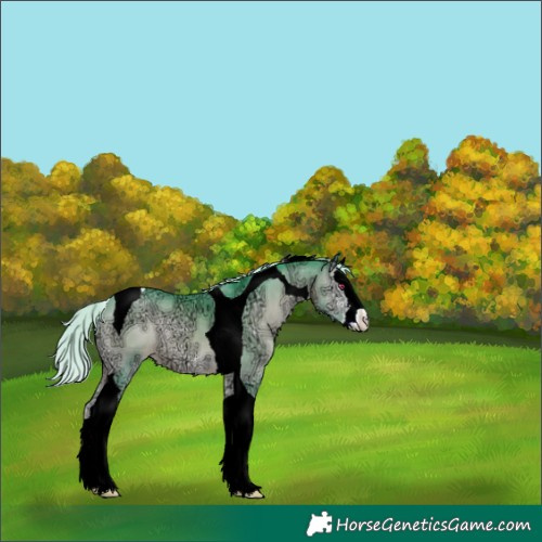 Horse Color:Watercolor Silver Brown Chinchilla Ice Onyx Sabino Splash Tobiano 