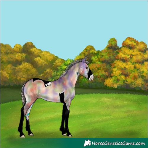 Horse Color:Nacre Silver Brown Onyx Sabino Tobiano 