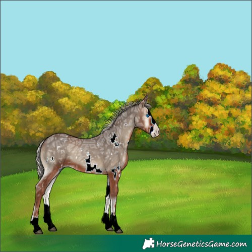 Horse Color:White Spotted Silver Blue Onyx Ice Splash 