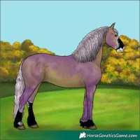 Horse Color:Watercolor Silver Brown Sabino