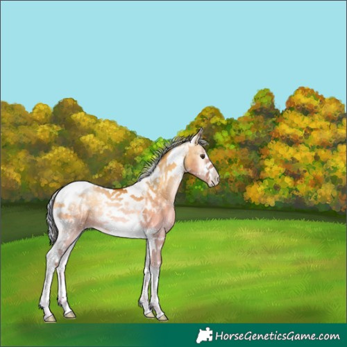 Horse Color:Painted Silver Brown Pearl Onyx Sabino Tobiano 