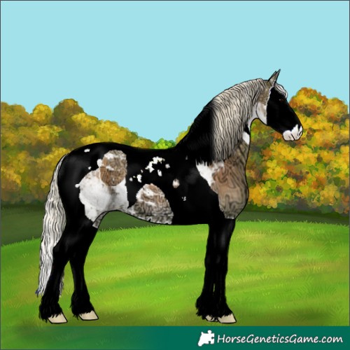 Horse Color:Watercolor Silver Blue Onyx Ice Splash Tobiano 