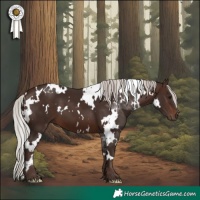 Horse Color:White Spotted Silver Brown 