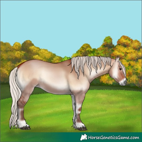 Horse Color:Silver Bay Onyx 