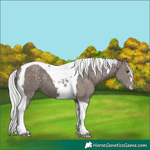 Horse Color:Platinum Silver Black Tobiano 