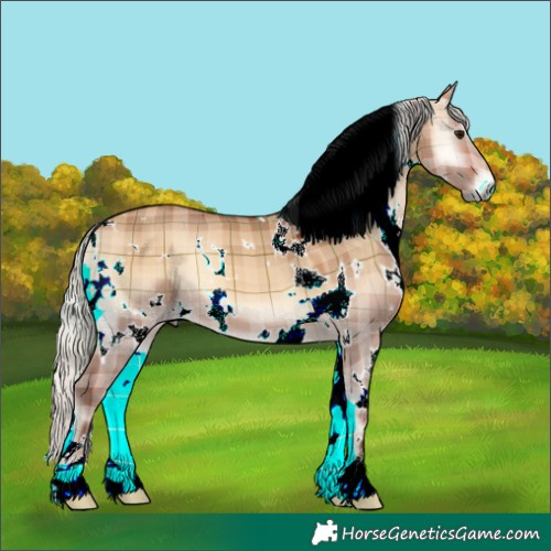 Horse Color:Plaid  White Spotted Silver Bay Onyx 