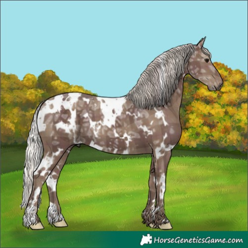 Horse Color:Plaid  White Spotted Silver Black Ice 