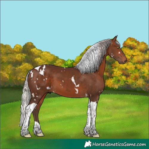 Horse Color:White Spotted Silver Brown Tobiano 