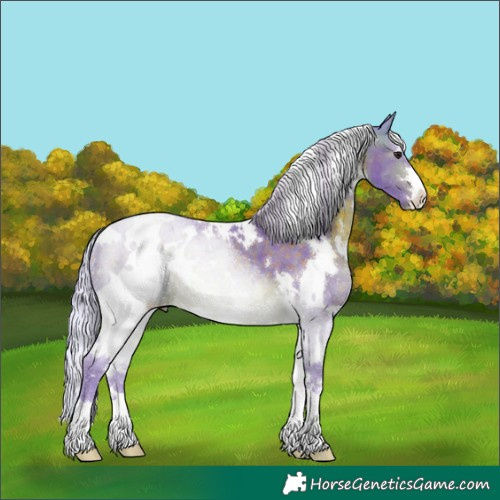 Horse Color:Watercolor White Spotted Silver Brown 