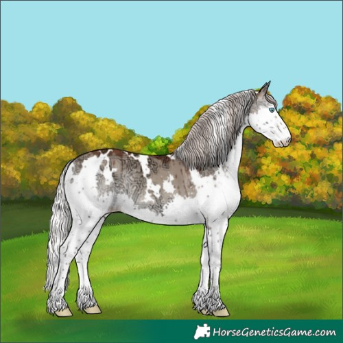 Horse Color:White Spotted Silver Grullo Ice Onyx Splash Brindle 