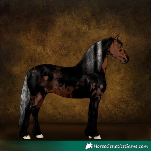 Horse Color:Void White Spotted Silver Brown Tobiano 