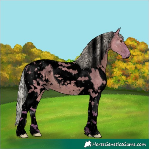 Horse Color:Void Watercolor White Spotted Silver Grullo Tobiano Appaloosa Brindle 