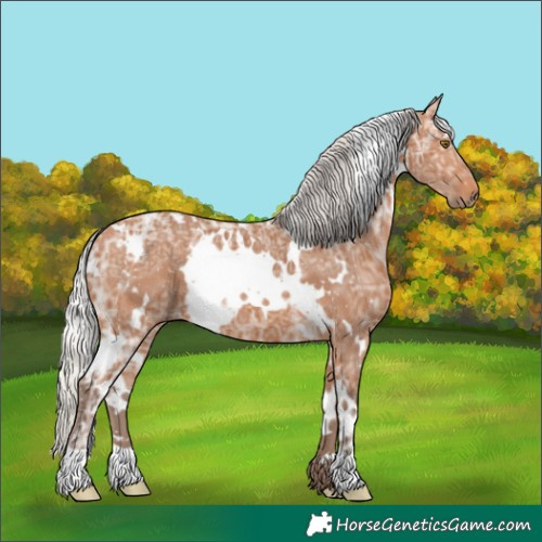 Horse Color:White Spotted Silver Bay Ice 