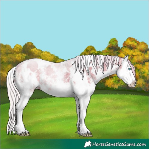 Horse Color:Watercolor White Spotted Silver Grullo Splash 
