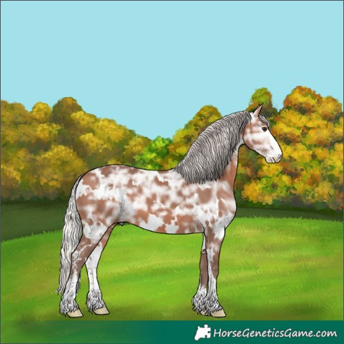 Horse Color:White Spotted Silver Brown Ice Sabino 
