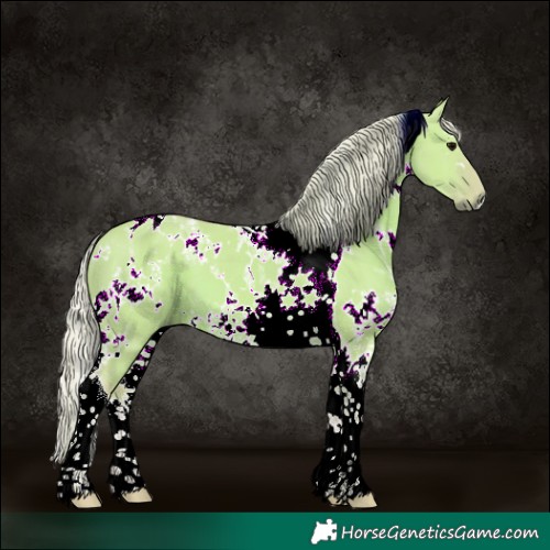 Horse Color:Watercolor White Spotted Silver Grullo Tobiano 
