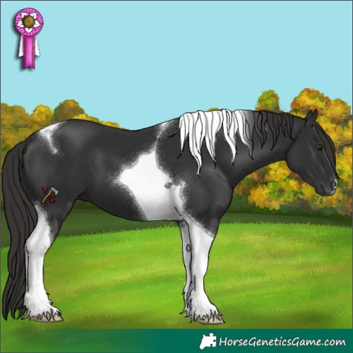Horse Color:Liver Chestnut Tobiano 