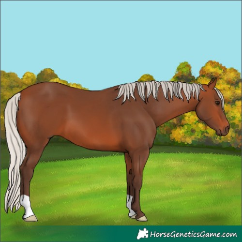 Horse Color:Silver Brown 
