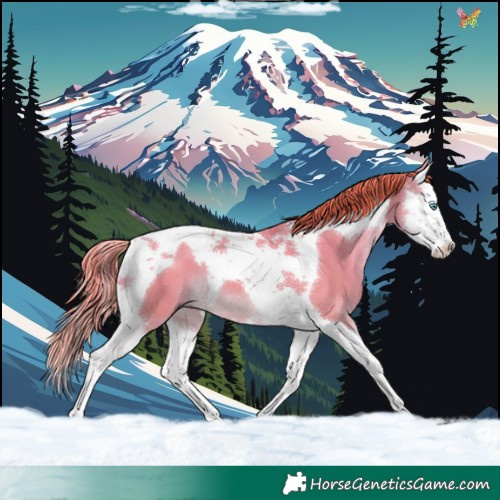 Horse Color:Watercolor Liver Red Dun Splash Tobiano 