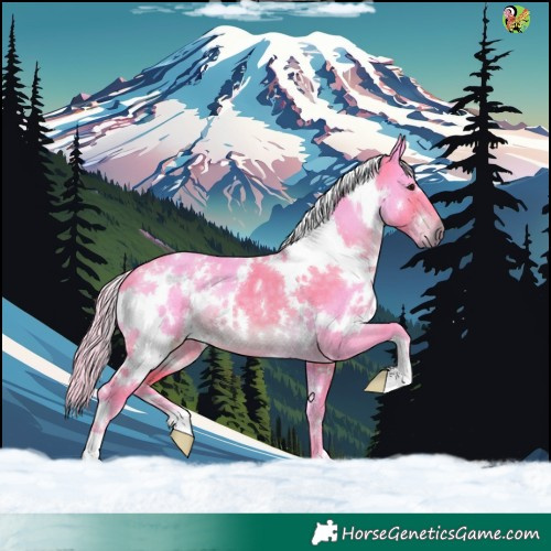 Horse Color:Watercolor White Spotted Silver Brown 