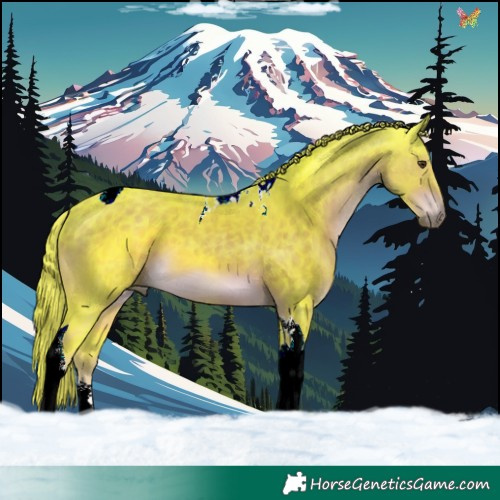 Horse Color:Watercolor Liver Chestnut Tobiano 