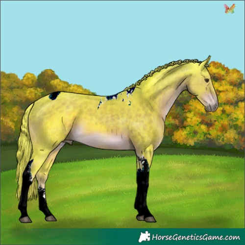 Horse Color:Watercolor Liver Chestnut Tobiano