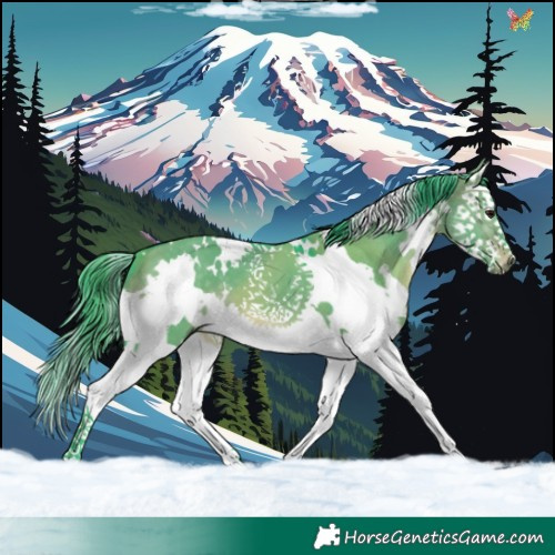 Horse Color:Watercolor White Spotted Brown Dun Splash 