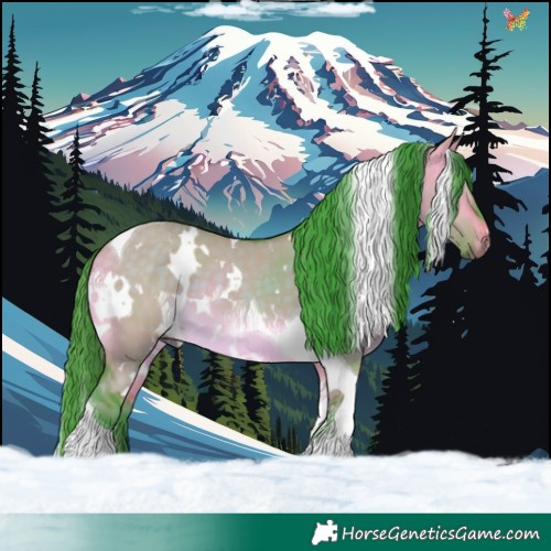Horse Color:Watercolor White Spotted Buckskin Dun Tobiano 