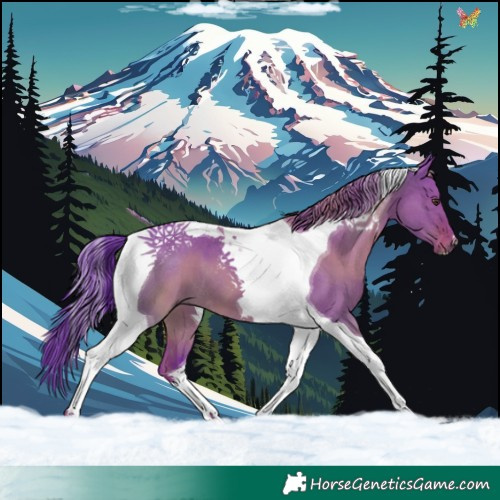 Horse Color:Watercolor Liver Red Dun Tobiano 
