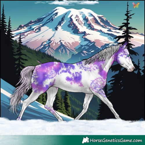 Horse Color:Watercolor White Spotted Silver Brown Splash 
