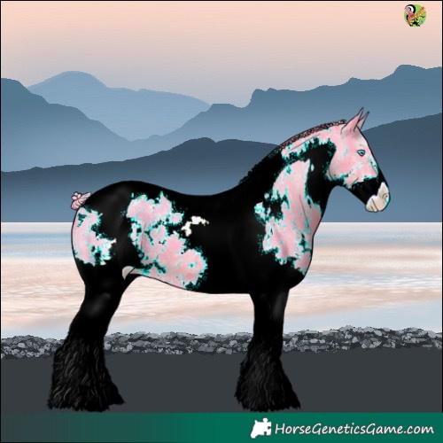 Horse Color:Watercolor White Spotted Liver Chestnut Splash Tobiano Varnish 