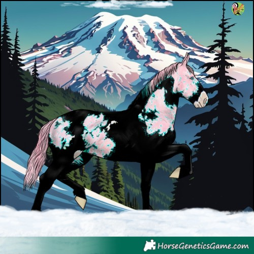 Horse Color:Watercolor White Spotted Liver Chestnut Splash Tobiano Appaloosa 