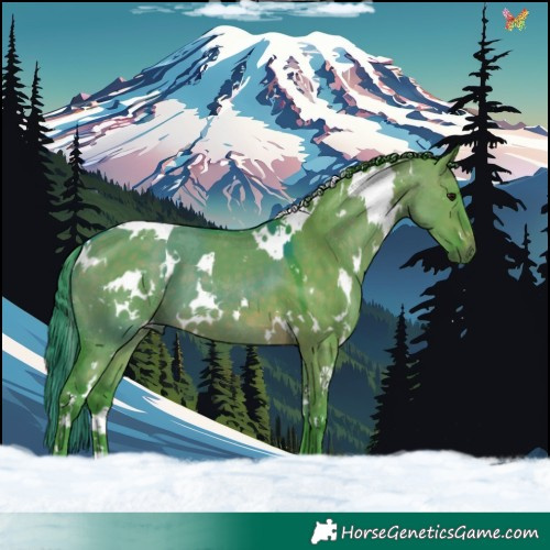 Horse Color:Watercolor White Spotted Brown Dun 