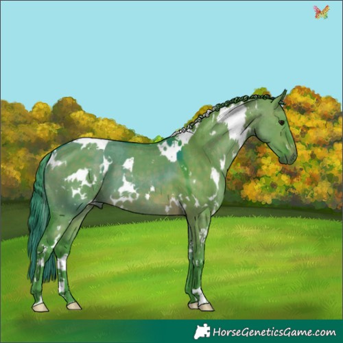 Horse Color:Watercolor White Spotted Brown Dun