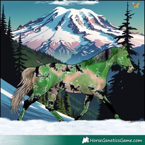 Horse Color:Watercolor White Spotted Brown Splash 