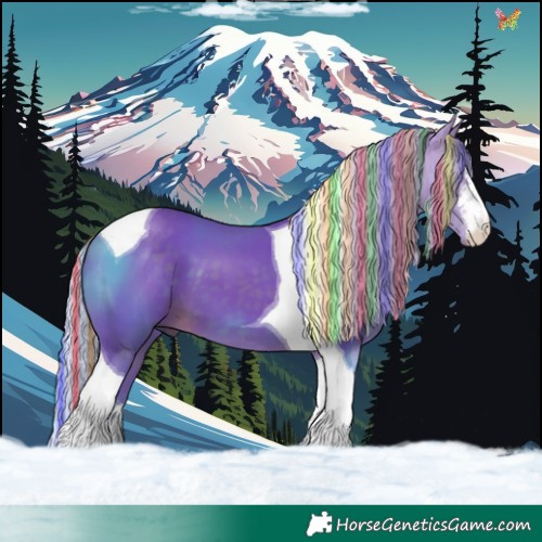 Horse Color:Painted Watercolor White Spotted Silver Brown Tobiano 