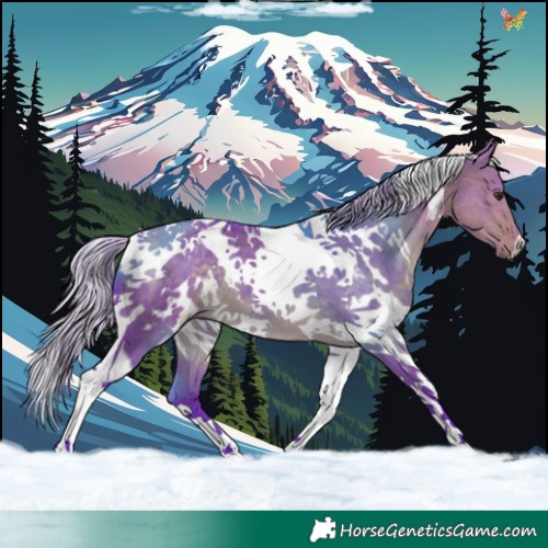 Horse Color:Watercolor White Spotted Silver Buckskin Dun Tobiano 