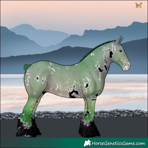 Horse Color:Watercolor White Spotted Bay Dun Sabino 