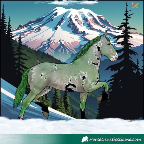 Horse Color:Watercolor White Spotted Bay Dun Sabino 