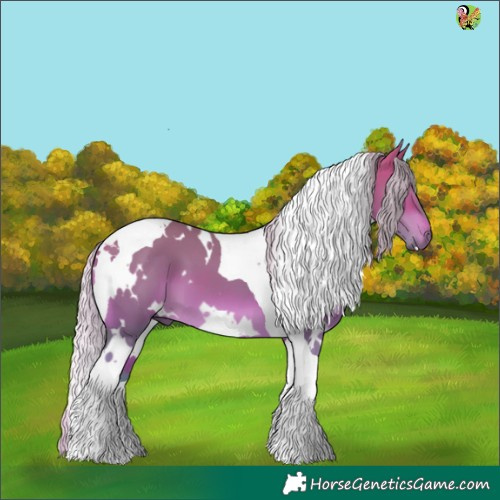 Horse Color:Watercolor White Spotted Silver Bay Dun Tobiano 