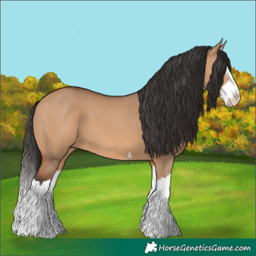 Horse Color:Bay Dun Splash 