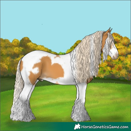 Horse Color:Palomino Splash Tobiano Frame 