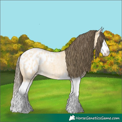 Horse Color:Buckskin Roan Splash Blanket 