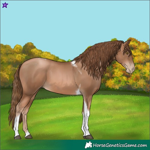 Horse Color:Liver Chestnut Pearl Tobiano 